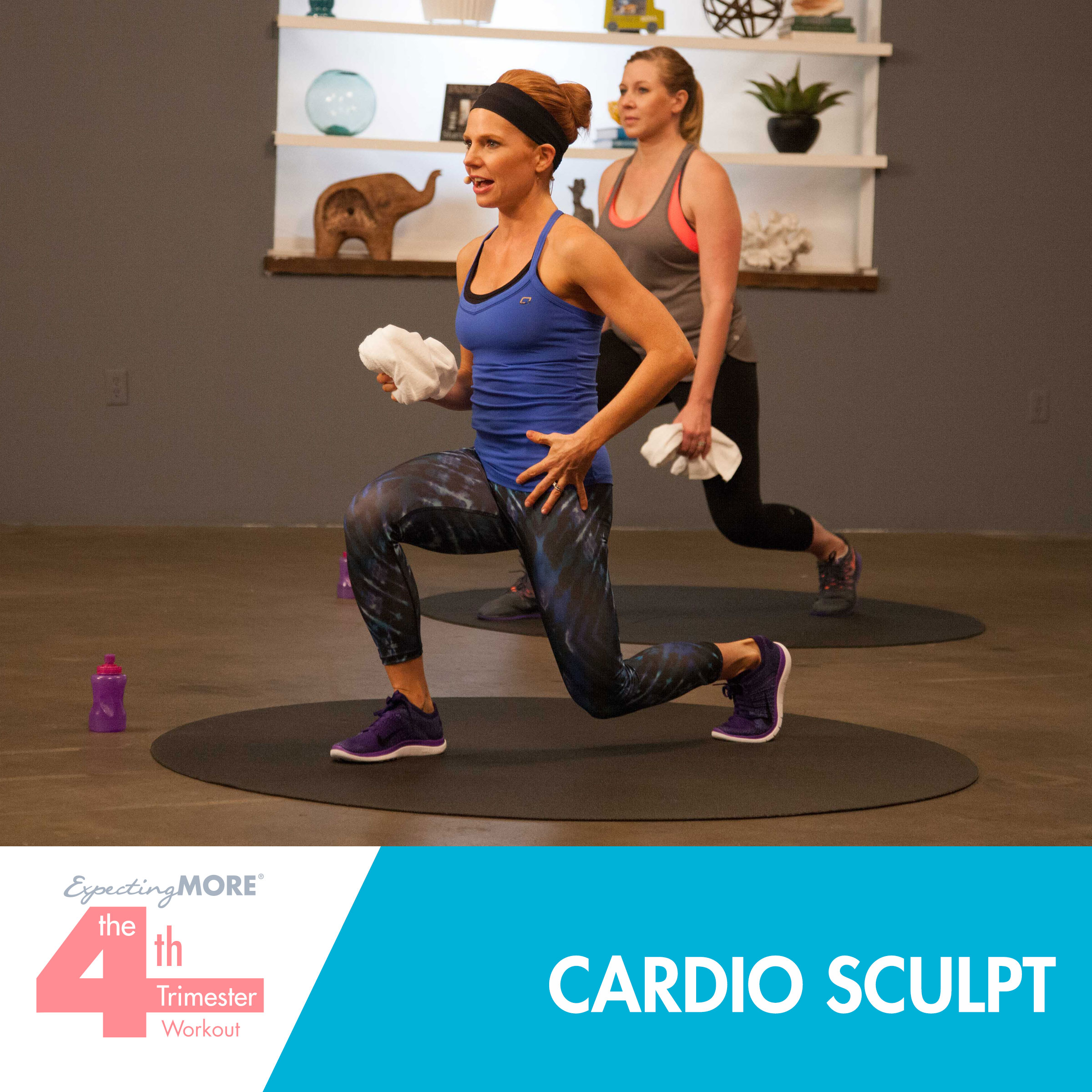 Cardio Sculpt – Digital Download – Sara Haley